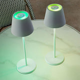 Member's Mark 2-Pack LED Patio Touch Lamps