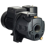 LEO 1/2-HP 115 and 230-Volt 13-GPM Cast Iron Deep Well Jet Pump