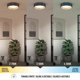 Alton 13 in. 1-Light Black and Wood Modern Integrated LED Flush Mount Ceiling Light for Hallway and Bedroom