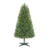 5 ft Woodtrail Fir Incandescent Christmas Tree