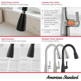 Fairbury 2S Single-Handle Pull-Down Sprayer Kitchen Faucet in Matte Black