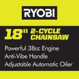 18 in. 38cc 2-Cycle Gas Chainsaw with Heavy Duty Case