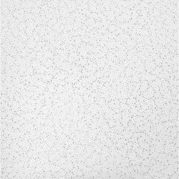 Random Textured 2 ft. x 2 ft. Textured Ceiling Tile (1,024 sq. ft./pallet)